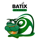 ✅  ?  Batix! - BATIX GROUP, 
